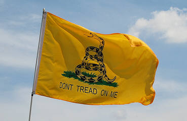 Don't Tread on Me Flag